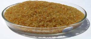 chitosan granules pearl