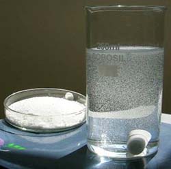 chitosan solution india